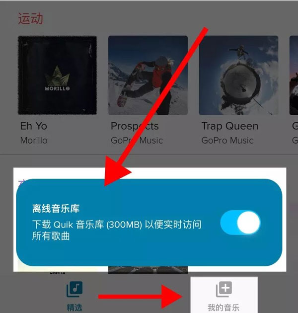 GoProQuik