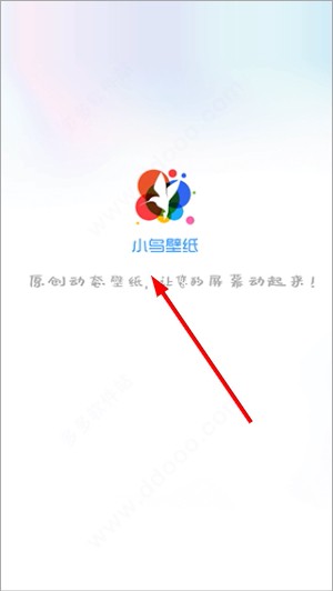 小鸟壁纸最新版
