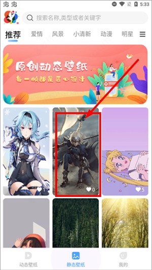 小鸟壁纸最新版