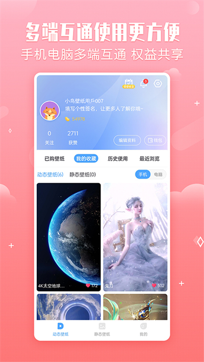 小鸟壁纸最新版