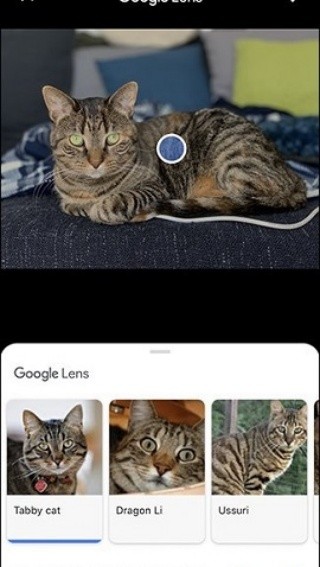 Google识图